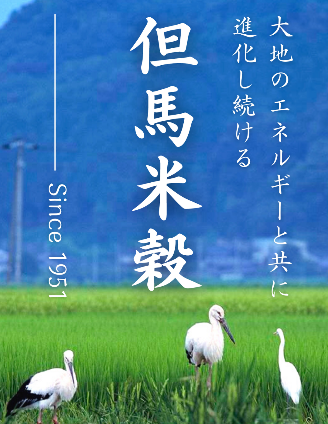 トップ携帯１